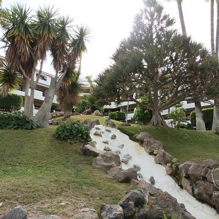 דירות סן מיגל דה אבונה Estudio En Tenerife Con Piscina / Study Flat With Pool מראה חיצוני תמונה